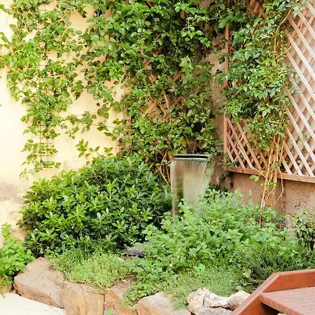 Chambres D'hotes Le Papillon Bed and breakfast Céret